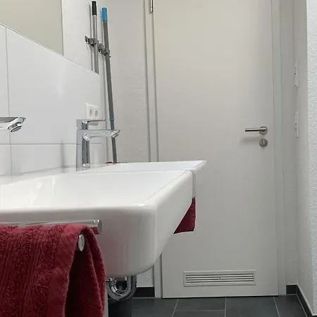 Braun Constance Hotel Friedrichshafen